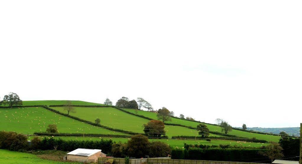The Cannards Well Shepton Mallet Exterior foto